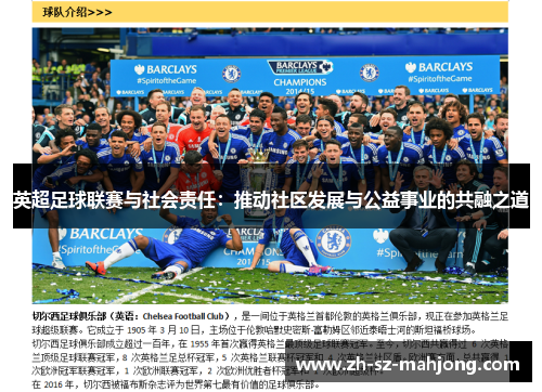 英超足球联赛与社会责任:推动社区发展与公益事业的共融之道 英超足球联赛与社会责任:推动社区发展与公益事业的共融之道