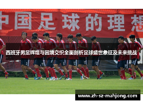 西班牙男足辉煌与困境交织全面剖析足球盛世象征及未来挑战