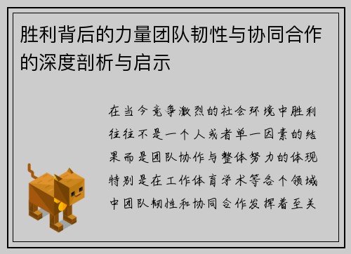 胜利背后的力量团队韧性与协同合作的深度剖析与启示