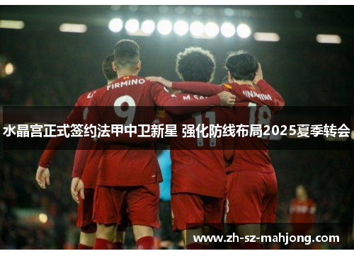 水晶宫正式签约法甲中卫新星 强化防线布局2025夏季转会