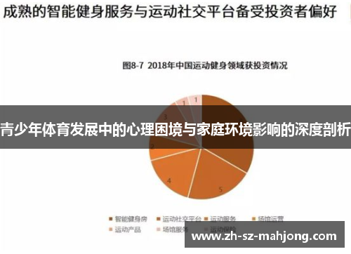 青少年体育发展中的心理困境与家庭环境影响的深度剖析